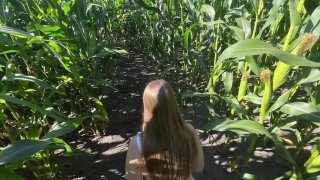 Maja meer s unallowed anal adventure in cornfield - sweet teen gets surprised creampie Thumbnail